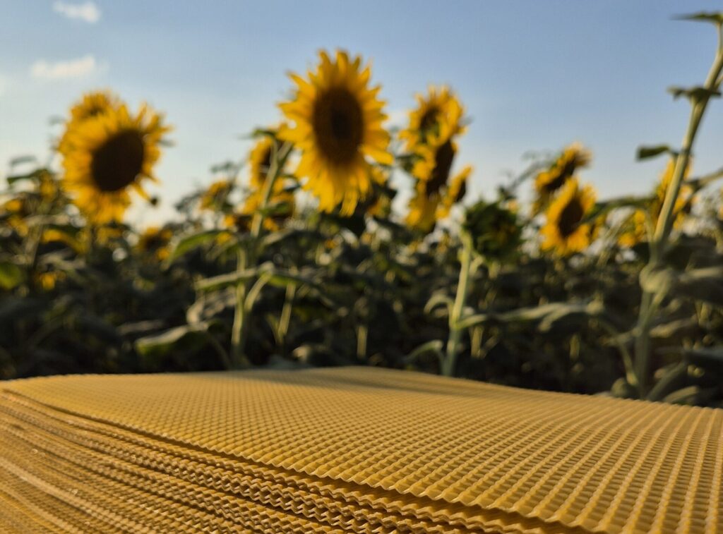 Нова вощина