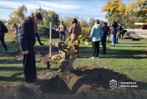 У Запоріжжі висадили «Дуби незламності» — символ пам’яті, сили та єдності (ФОТО)