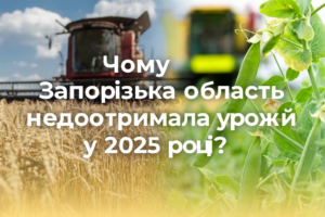 У Запорізькій області впали обсяги врожаю: зернових зібрали на 12% менше, ніж торік