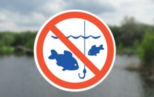Відсьогодні в Україні стартувала заборона на вилов риби на зимувальних ямах: деталі, правила та штрафи