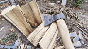 Опалення дровами: скільки купити і скільки це коштує — підготовка до холодів