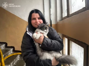 ДСНС врятували кота з палаючої квартири в Запоріжжі (ФОТО, ВІДЕО)