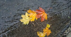Коротке потепління перед новими дощами: яка буде погода в перший тиждень жовтня в Запоріжжі