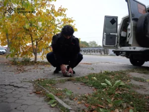 На Запорожье враг атаковал кассетными боеприпасами: саперы обезвредили три взрывчатки (ФОТО)