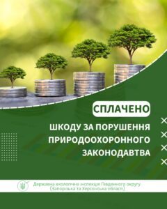 Суд зобов’язав виплатити понад 27 тисяч грн за незаконну вирубку лісу на Запоріжжі