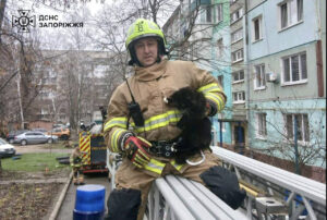 У Запоріжжі надзвичайники врятували чотирилапого альпініста
