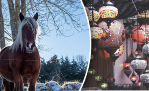 Астрологічний прогноз 2026: що очікує кожен знак у Рік Вогняного Коня