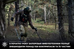 Последствия войны: с начала года запорожские взрывотехники обезвредили более 1000 боеприпасов