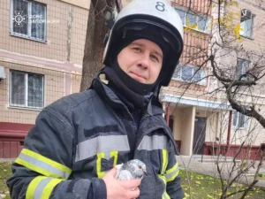 Хорошие новости — в Запорожье спасатели вытащили из ловушки голубя, который боролся за жизнь на дереве (ФОТО)