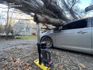 У Запоріжжі дерево впало на припарковані авто (ФОТО)