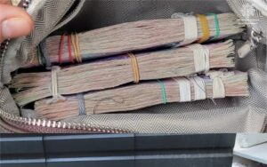 У Запоріжжі біля лікарні виявили сумку з десятками тисяч гривень (ФОТО)