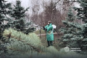 У Запоріжжі обробили ялинки проти вандалів (ФОТО)