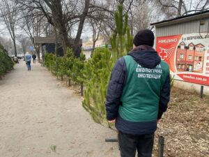 В Запорожье проверили законность продажи новогодних елок: что обнаружили специалисты?
