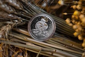 НБУ випустив різдвяну монету номіналом 10 гривень (ФОТО)