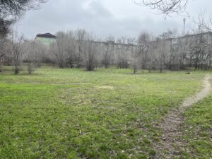 Запорізька міська рада оголосила аукціон з оренди земельної ділянки в центрі міста (ФОТО)