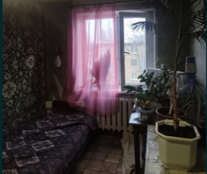 У Запоріжжі виставили на продаж трикімнатну квартиру за 12000$: як вона виглядає (ФОТО)