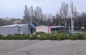 У Запоріжжі стартував продаж ялинок: названо ціни (ФОТО)