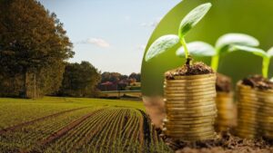 Як запоріжцям оформити пільгу по платі за землю на 2026 рік: алгоритм дій