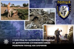 На службе закона: в 2025 году кинологи Запорожья с помощью собак раскрыли более 400 преступлений