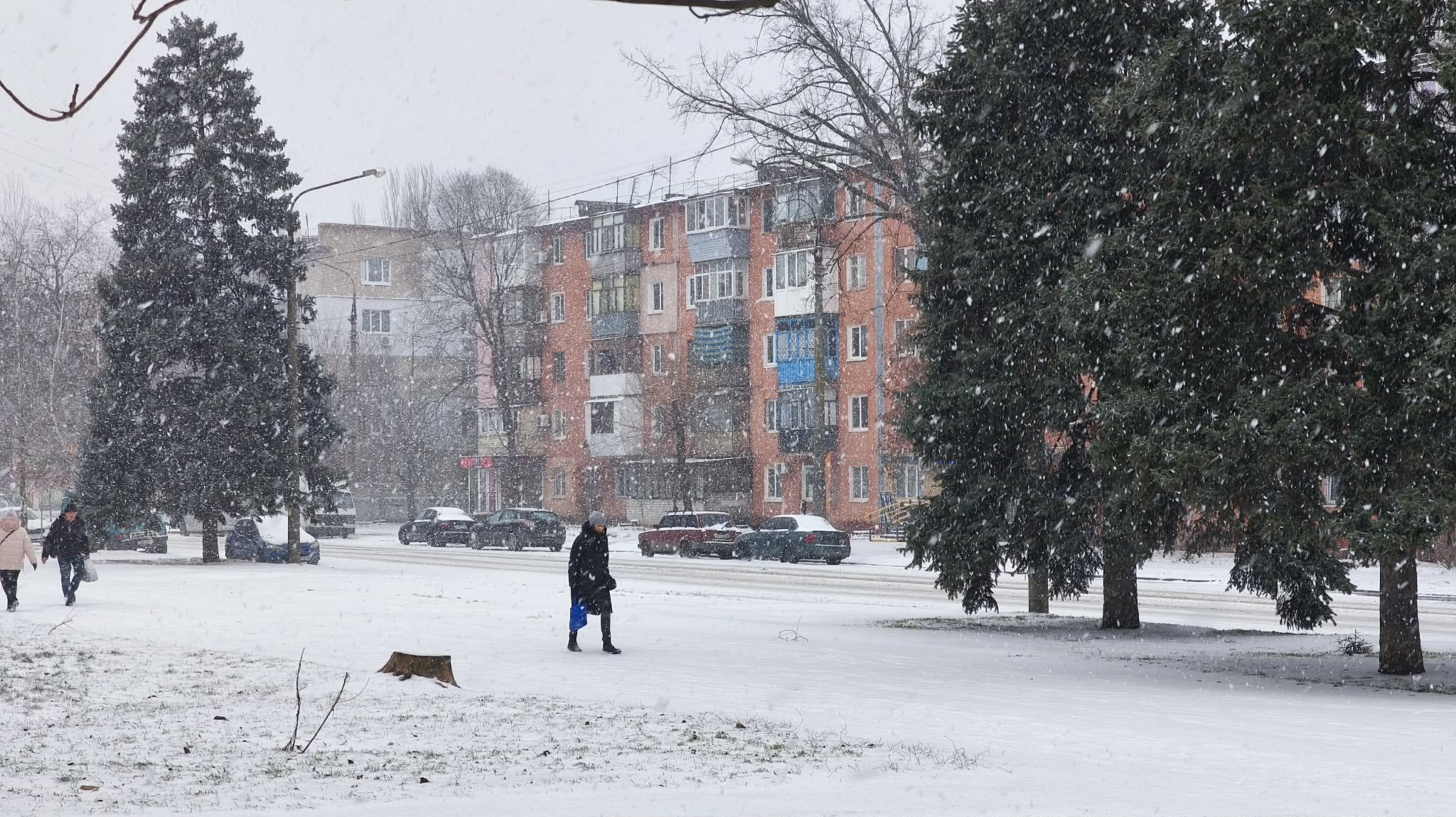 сніг запоріжжя