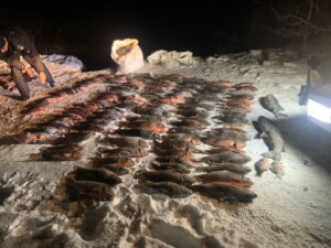 На Запоріжжі викрили незаконний вилов 420 кг риби (ФОТО)