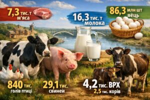 Животноводство Запорожской области в 2025 году: объемы производства мяса, молока и яиц