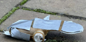 В Запорожском районе обнаружили мины-«лепестки»: почему они представляют смертельную опасность (ФОТО)