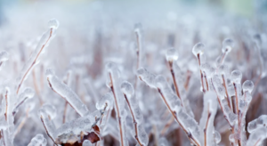 Завтра в Запорожье ожидаются гололед и ледяной дождь: предупреждение