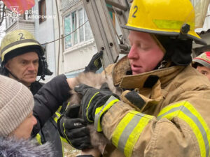 На высоте 10 метров: в Запорожье спасатели сняли котика с дерева (ФОТО)