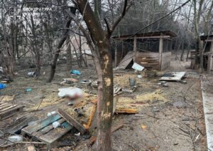 Російські дрони вбили людей і тварин: наслідки ударів по Вільнянську та Запоріжжю (ФОТО)