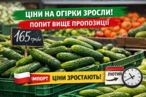 В Україні знову зросли ціни на тепличні огірки: що відбувається на ринку