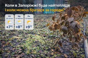 До +9 і без дощів: коли в Запоріжжі настануть найтепліші дні тижня