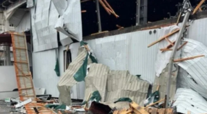 Сім влучань дронів по агрофабриці на Запоріжжі: що відомо