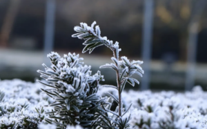 Детальний прогноз погоди в Запоріжжі на лютий 2026 року