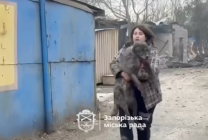 Як зараз виглядає притулок для тварин у Запоріжжі після російського удару (ВІДЕО)