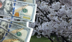 Грошова допомога українцям у березні 2026: повний список міжнародних виплат