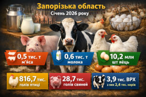 Какое количество мяса, молока и яиц было произведено хозяйствами Запорожской области в январе
