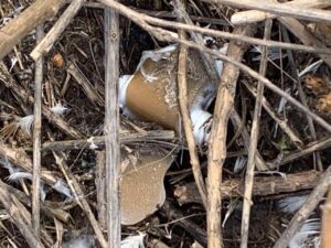 У селі під Запоріжжям виявили небезпечну міну «пелюстка»: людей попереджають про небезпеку