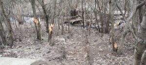 У Запоріжжі після ранкового обстрілу зафіксували забруднення: що виявили екологи (ФОТО)