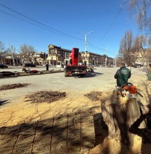 Невідомі спилювали дерева у центрі Запоріжжя: екологи перевірили ситуацію (ФОТО)