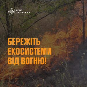 За добу на Запоріжжі ліквідували 8 пожеж в екосистемах