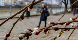 14 березня: яке свято відзначають в Україні, іменини, традиції та прикмети