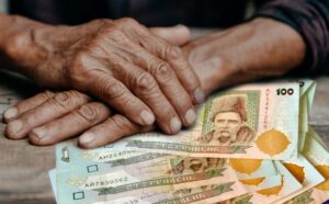 «Батьківщина» збирає підписи за підвищення пенсій