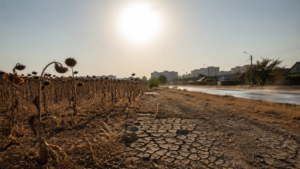 Літо 2026 року в Україні: синоптики шокували прогнозом про «пекельну» спеку