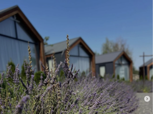 Villa del Vino під Запоріжжям показала афішу на квітень: що чекає гостей (ФОТО)