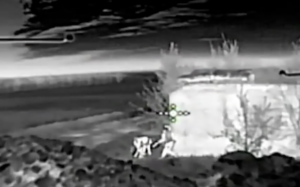 Росіяни атакували на мотоциклах і «Уралах» під Гуляйполем (ВІДЕО)