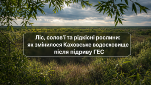 Каховське водосховище перетворюється на ліс: екологи показали унікальне відновлення (ФОТО)