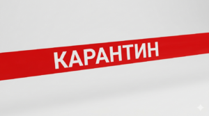 У Запоріжжі оголошено карантин: що відомо