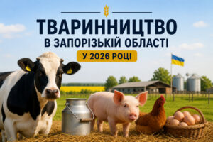 Попри війну та окупацію: у Запорізькій області зберігається виробництво молока та яєць
