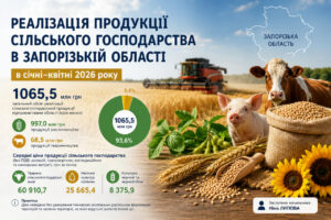 Запорізькі аграрії наростили реалізацію продукції: основний дохід принесли зернові та олійні